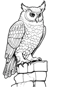 eule-auf-felsen-ausmalbild