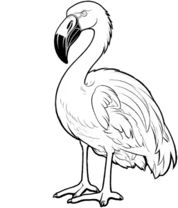 flamingo-ausmalbild-mit-detaillierten-federzeichnungen