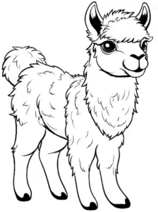 fluffiges-alpaka-ausmalbild