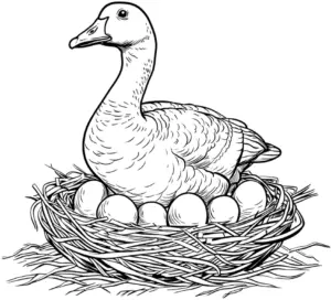 gans-im-nest-mit-eiern-ausmalbild