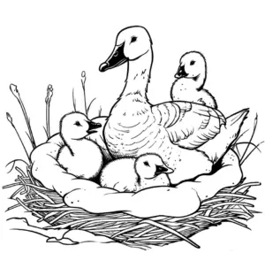 gans-mit-gaensebabys-im-nest