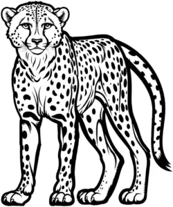 gepard-ausmalbild-mit-charakteristischen-flecken-und-eleganter-haltung