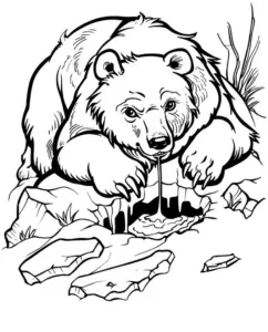 grizzlybaer-ausmalbild-ueber-wasserfall