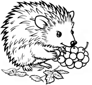 igel-mit-trauben-und-blaettern-ausmalbild