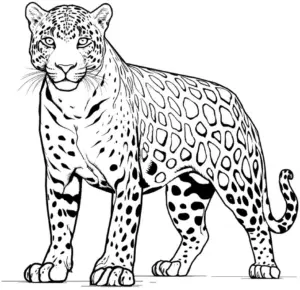 jaguar-ausmalbild-mit-klaren-linien-und-mustern