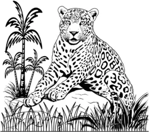 jaguar-ausmalbild-mit-tropischen-pflanzen-und-felsen