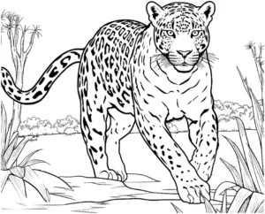 jaguar-in-der-savanne-ausmalbild