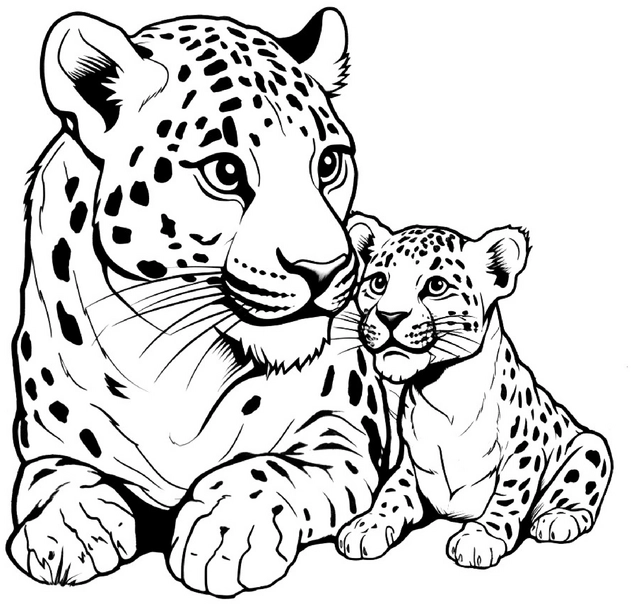 jaguar-und-jungtier-ausmalbild