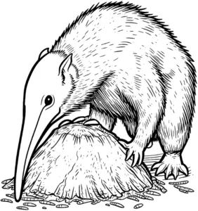 kaenguru-ausmalbild-mit-naturhintergrund