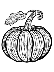 kuerbis-ausmalbild-mit-detaillierten-linien-und-blaettern