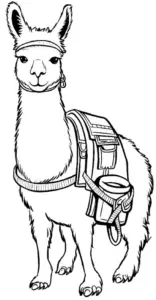 lama-mit-rucksack-ausmalbild-illustration