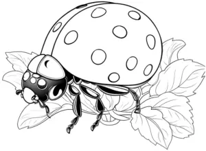 marienkaefer-auf-blatt-mit-punkten-ausmalbild