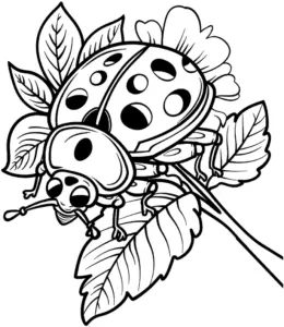 marienkaefer-auf-blume-mit-blaettern