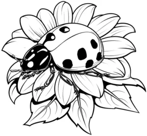 marienkaefer-auf-einer-blume-ausmalbild