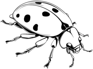 marienkaefer-ausmalbild-mit-punkten-und-details