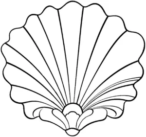 muschel-ausmalbild-mit-geschwungenen-linien-und-details