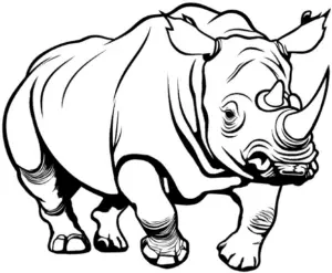 nashorn-ausmalbild-mit-kraftigen-linien-und-markanten-konturen