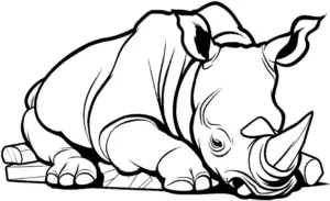 nashorn-ausmalbild-zum-ausmalen-und-gestalten