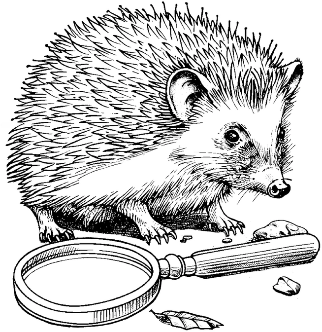 pelziger-igel-mit-lupe-ausmalbild