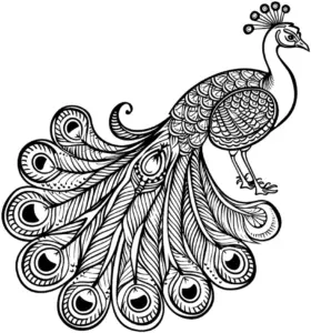 pfau-ausmalbild-mit-detaillierten-federn