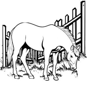 pferd-im-gehege-ausmalbild