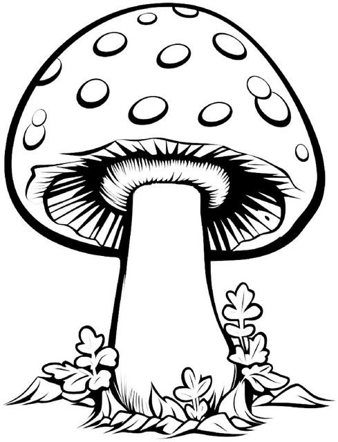 pilz-ausmalbild-mit-pflanzen