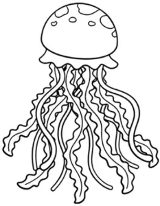 qualle-ausmalbild-mit-tentakeln