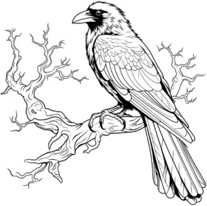 rabe-auf-ast-ausmalbild-mit-detaillierten-linien