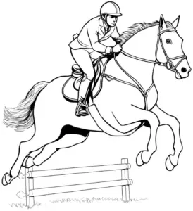 reiter-und-pferd-im-sprung-ueber-hindernis