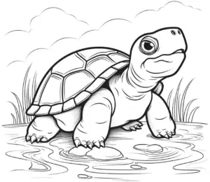 schildkroete-am-gewasser-mit-wolken-01