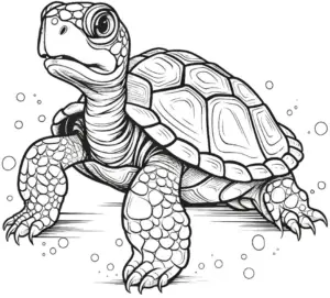 schildkroete-mit-blasen-ausmalbild