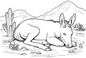 schlafender-esel-in-natur-umgebung