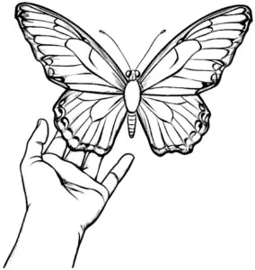 schmetterling-auf-hand-ausmalbild