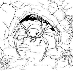 spinnen-ausmalbild-in-einer-hoehle