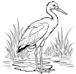 storch-am-gewasser-ausmalbild