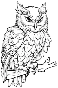 uhu-ausmalbild-mit-detailreichen-federn