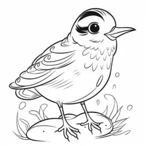 vogel-auf-stein-ausmalbild-illustration