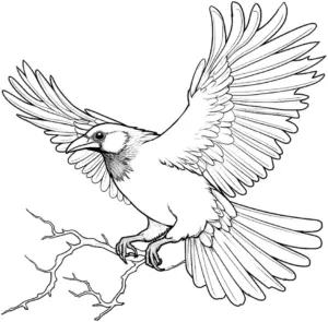 vogel-ausmalbild-mit-ausgebreiteten-fluegeln