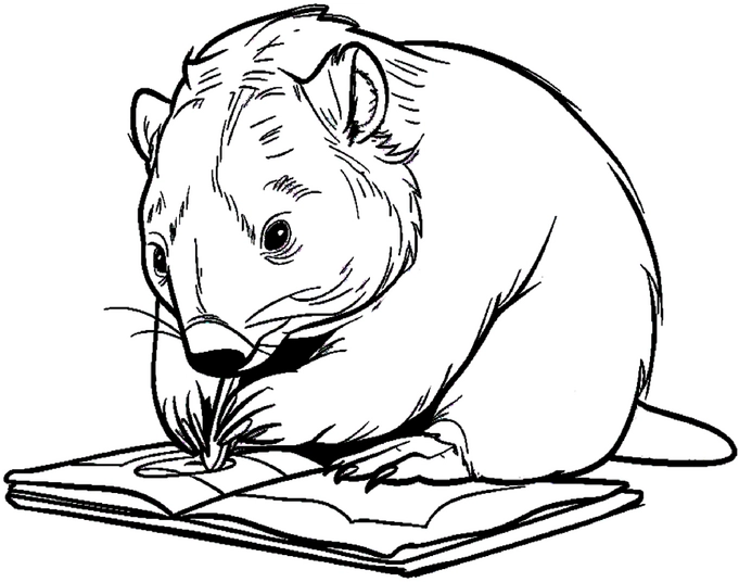 wombat-beim-lesen-ausmalbild