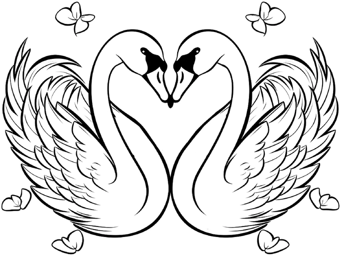 zwei-schwaene-herzform-und-schmetterlinge
